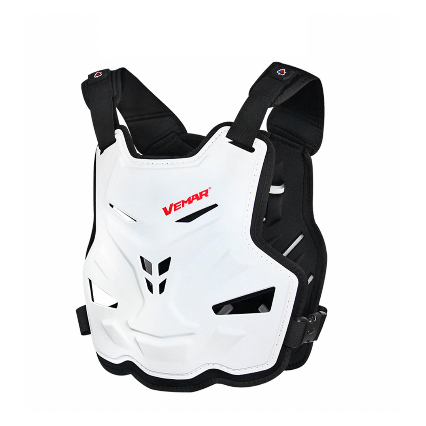 Fario Motorrad-Rückenprotektor
